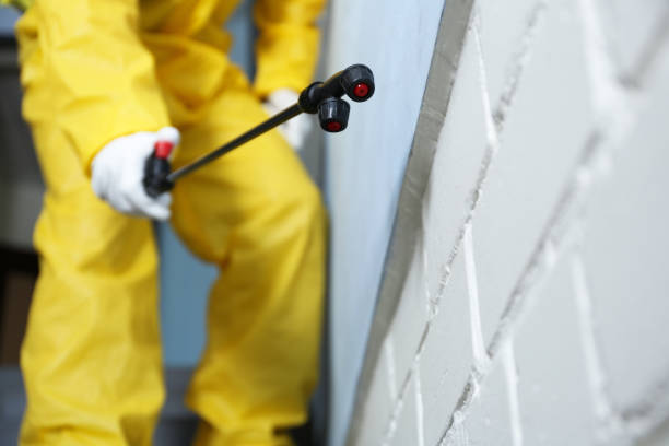 Best Pest Prevention Services  in Brigham City, UT